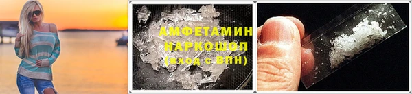 сатива Беломорск