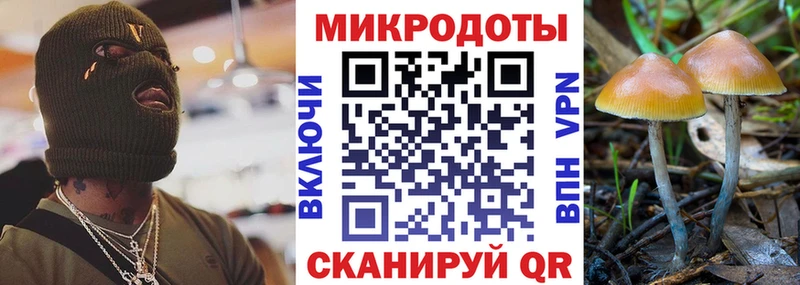 Галлюциногенные грибы MAGIC MUSHROOMS  сколько стоит  Северск 
